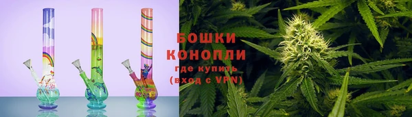 шишки Щучье