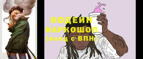 молекула духа Шарыпово