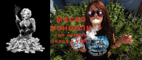 молекула духа Шарыпово