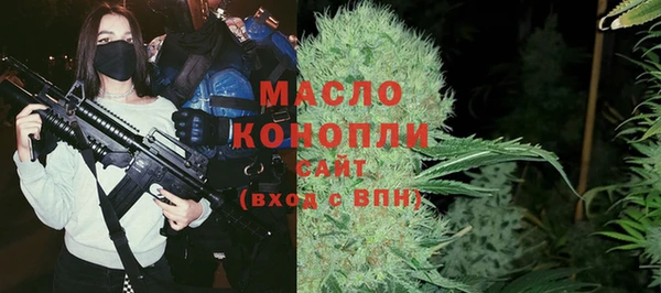 молекула духа Шарыпово