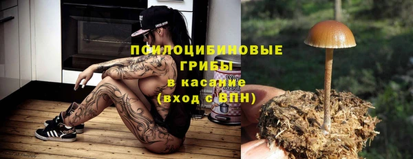 молекула духа Шарыпово