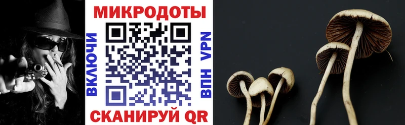 Галлюциногенные грибы мухоморы  Купить закладки  Тихвин 