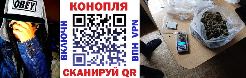 Купить  Тихвин  Бошки Шишки THC 21% 